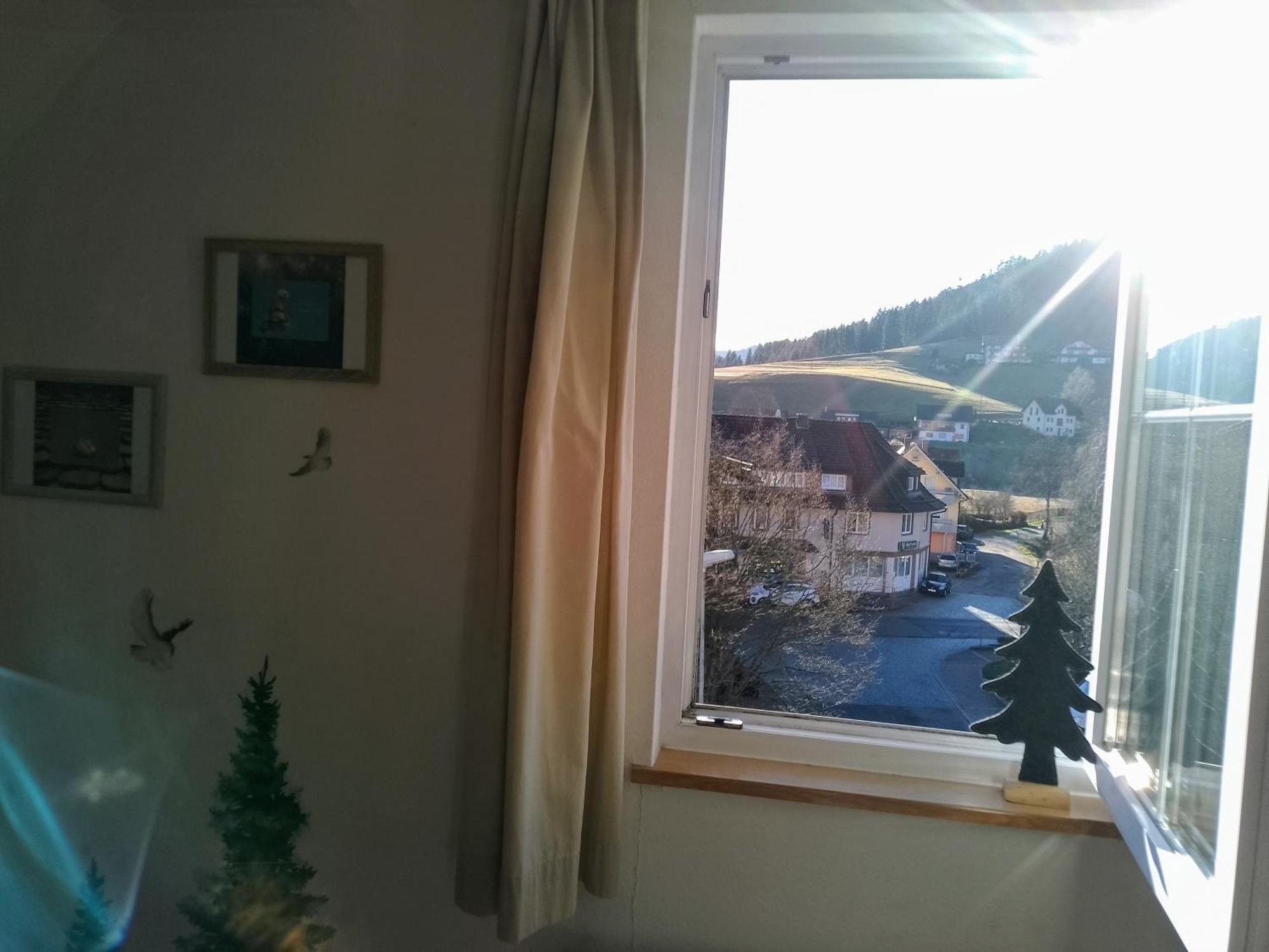 Ferienwohnung Waldrausch Baiersbronn Extérieur photo